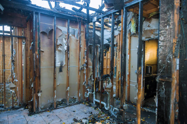 Professional Smoke Damage Removal technician working in Walthourville, GA